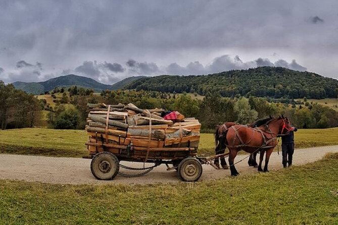 Private Day Tour to Historical Villages in Sinaia - Who this tour suits best