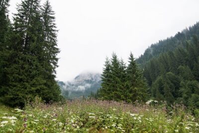 Private Daytrip Hike to Bucegi Mountains - Seven Springs waterfall: the stop that turns into a moment