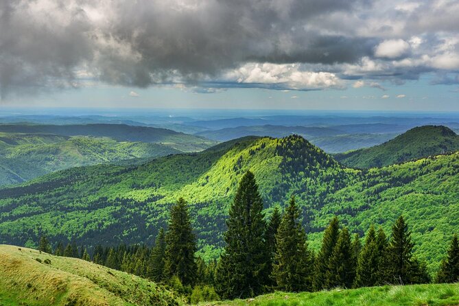Private Daytrip Hike to Bucegi Mountains - Air-conditioned transport: a comfort win on a weather day