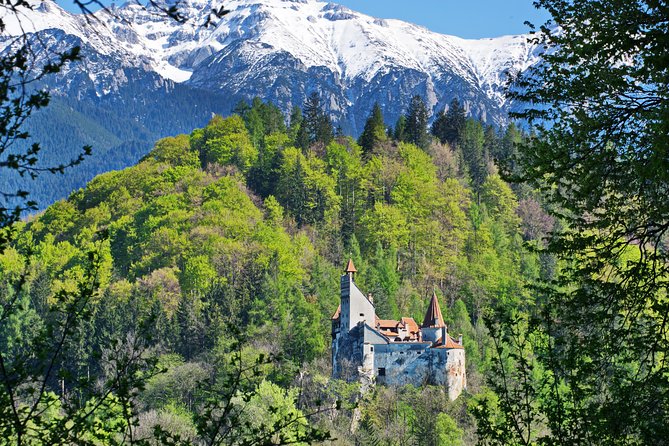 Private Movie Castles at Peles, Cantacuzino and Bran Castle Tour - Key Highlights You’ll Feel Immediately