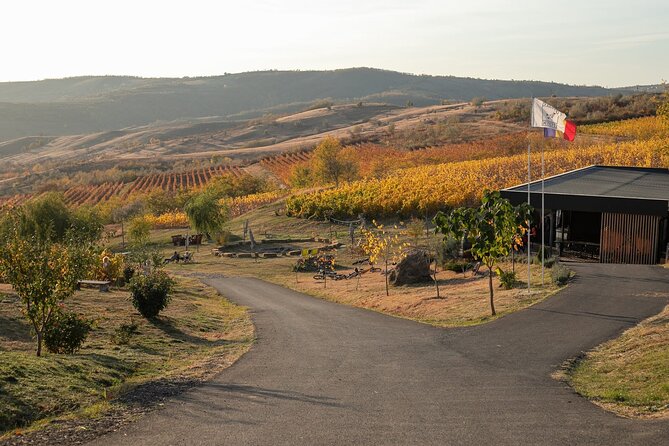 Private Tasting Expedition Along Romania’s Most Famous Wine Route - Key Highlights You’ll Care About