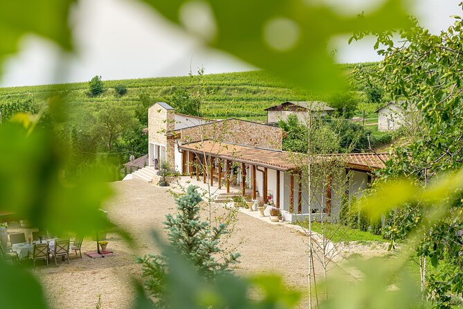 Private Tasting Expedition Along Romania’s Most Famous Wine Route - Timing, Tickets, and Small Things That Can Make or Break Your Day