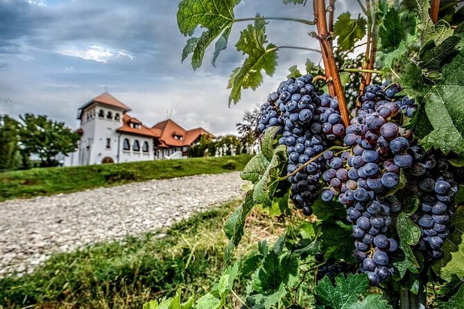 Private Tour to Salt Mine, Lunch at Winery and Dracula Grave - Practical Tips for a Smooth 9-Hour Route