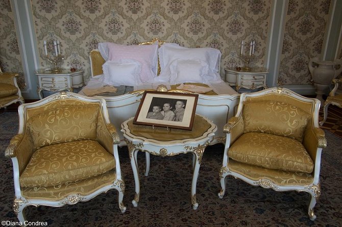 Private Walking Tour of Communist Bucharest - Ceausescu Mansion: seeing dictatorship as a location, not a concept