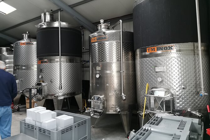 Private Wine Tasting in Cellar and the Winemaking process - A private wine day from Bucharest that avoids the driving mess