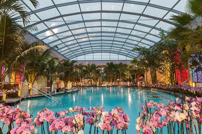 Relax and Fun at Thermal Spa Bucharest (Admission Ticket) - Key things that make this Therme ticket worth your time