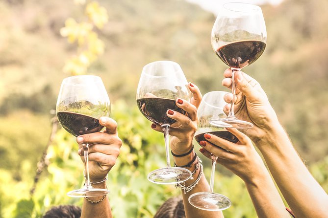 Romanian Wine Tasting - Key Points You’ll Care About