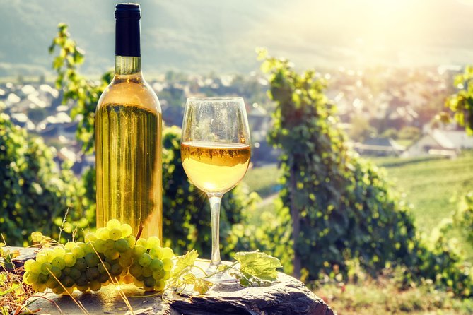 Romanian Wine Tasting - LacertA Winery Stop: Production Stories and Your First Tastings