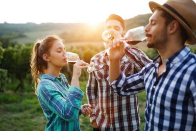 Romanian Wine Tasting - Budureasca and Wine-Tasting Etiquette: Taste Better Without Pretending