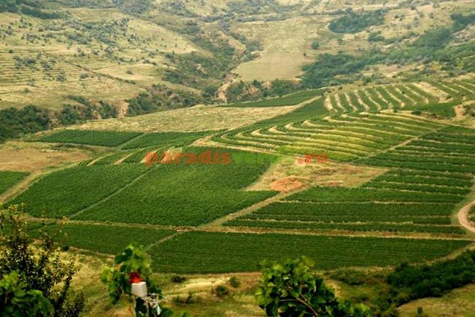 Salt Mine , Lunch at Winery & Dracula Grave - Private Tour - Unirea Salt Mine: Slanic Prahova’s 208 m Depth and 12°C Reality