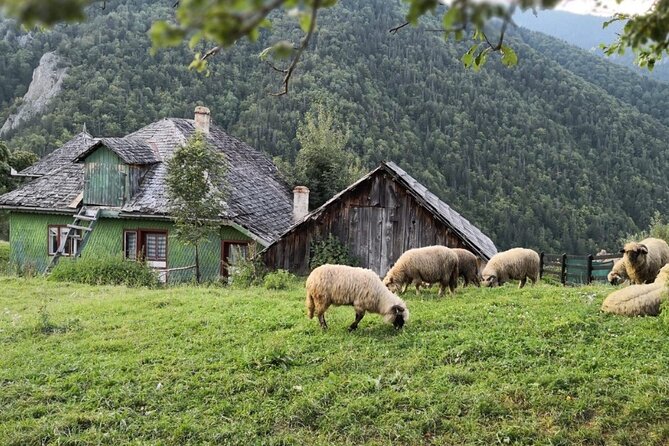 Slanic Salt Mines & Village Charms: Bucharest Day Escape - Who should book this Slanic day escape