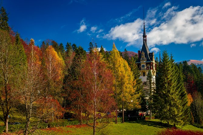 Small-Group Day Trip to Dracula's Castle, Brasov and Peles Castle - A Long Day Out of Bucharest: What the Drive Really Feels Like