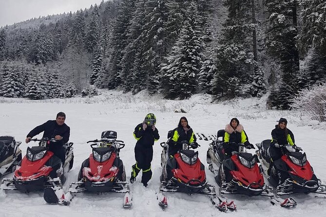 Snowmobiles, Sky Lift & Winter Sports - Private Tour - Forest Runs and Adrenaline Speed: What You’ll Do on the Sled