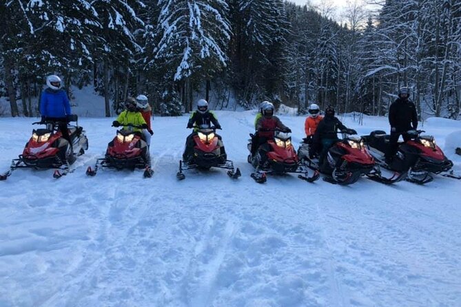 Snowmobiles, Sky Lift & Winter Sports - Private Tour - “Private” Means Just Your Group: Comfort, Pace, and Control