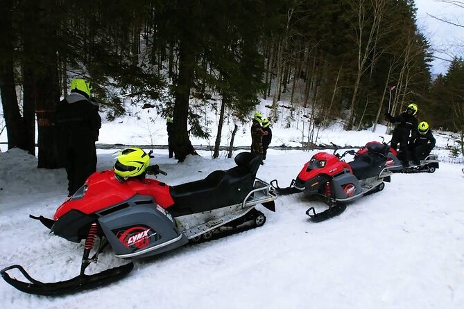 Snowmobiles, Sky Lift & Winter Sports - Private Tour - Before You Go: A Simple Checklist That Prevents Day-Of Stress