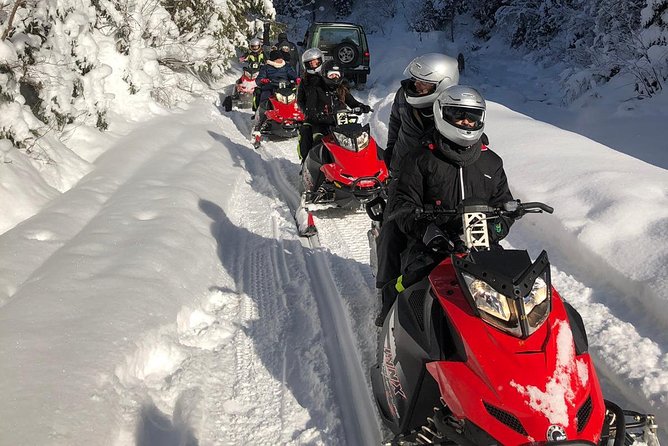 SnowMobiles Tour in Carpathian Mountains - Carpathian Snowmobiles From Bucharest: What the 9 Hours Mean