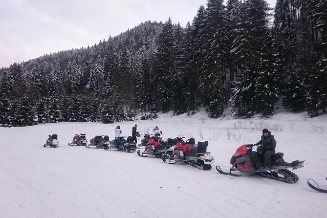 SnowMobiles Tour in Carpathian Mountains - Language on the Day: English Offered, and Vlad as the Fix