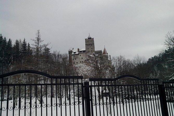 The Castles from the Carpathian Mountains! The Fixers Private Tour - Bran Castle vs Prejmer Fortress: choose Dracula or choose medieval reality
