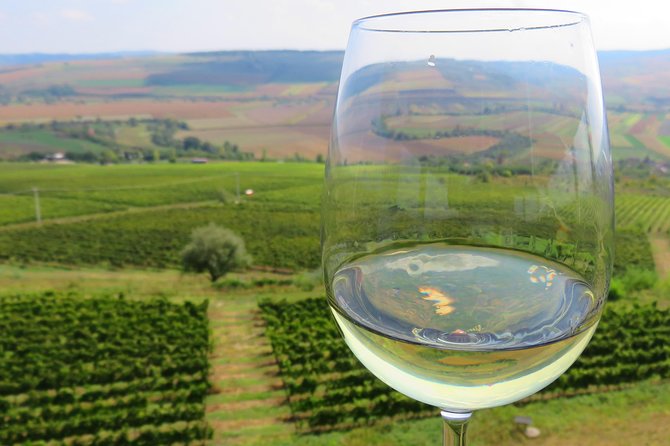 The wine route by bike - Key Points to Know Before You Go
