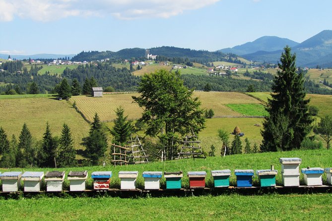 The wine route by bike - Crama Serve Ceptura: Another Tasting, Another Style, Short Ride Between