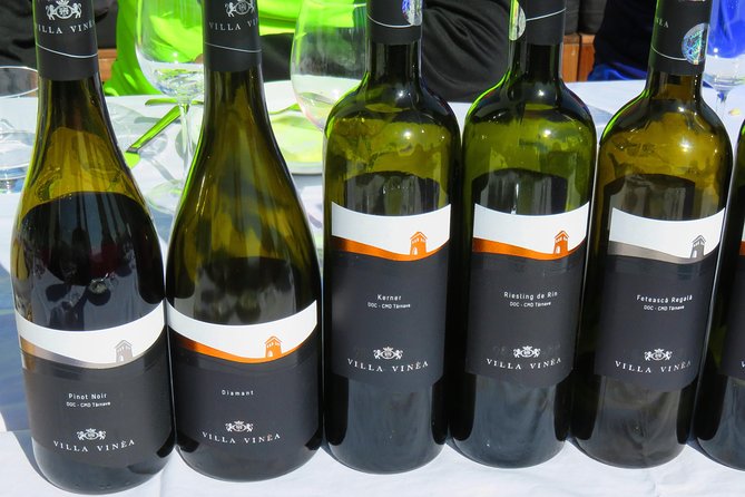 The wine route by bike - Snacks, Water, and Keeping the Day Comfortable