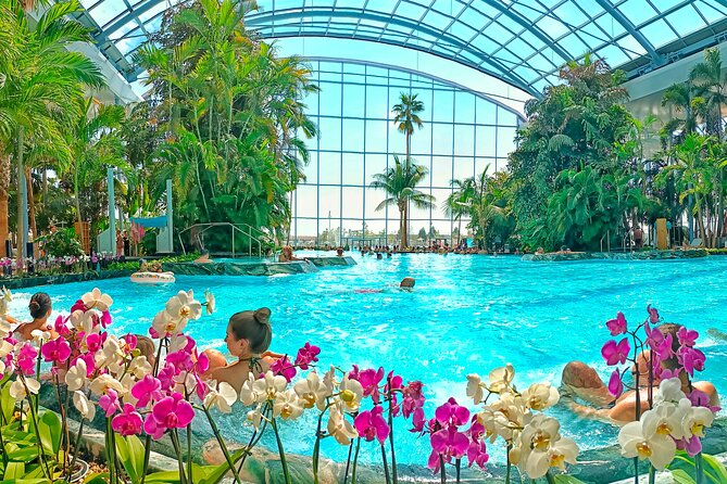 Therme Bucharest Tickets and Water Theme Park - Therme Bucharest: the three-zone system that changes your day