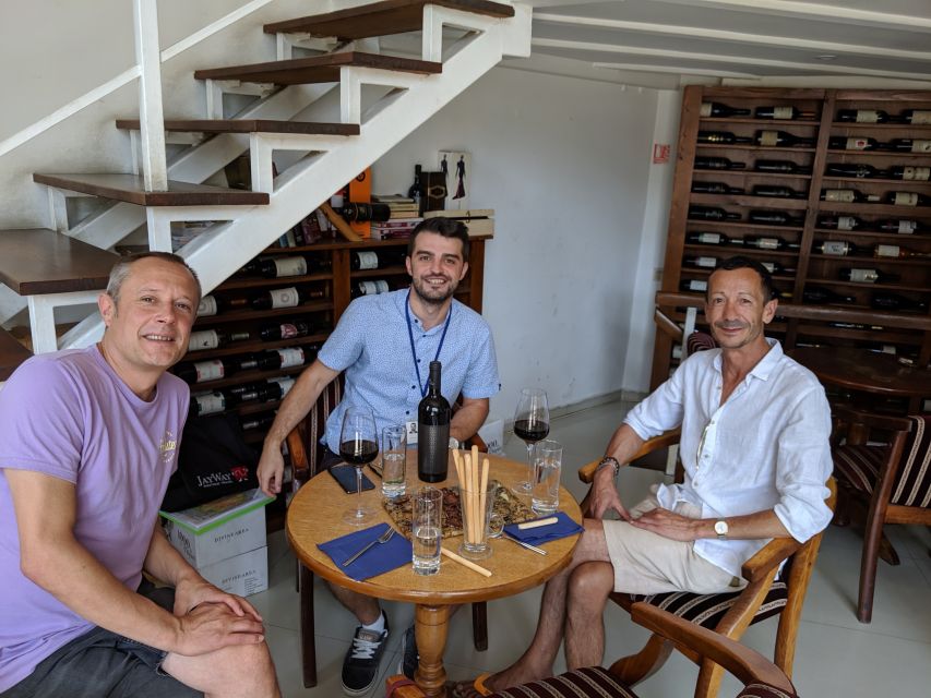 Traditions in Bucharest: Village Museum and Wine Tasting - National Village Museum: 300+ Buildings and Real Regional Style