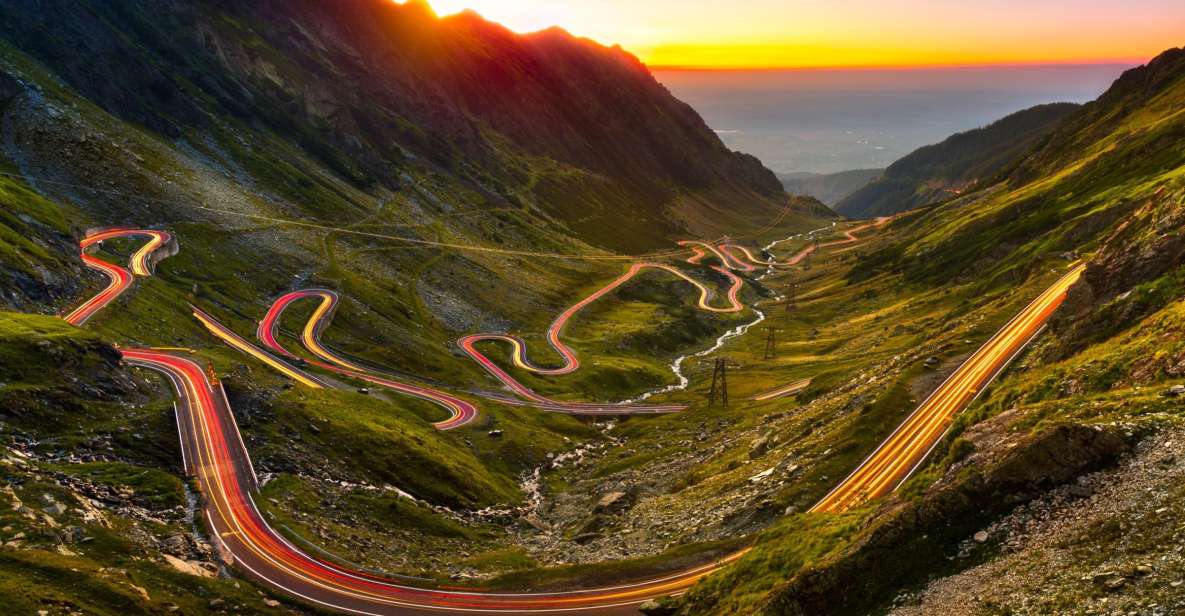 Transfagarasan Road Trip - Bears and wildlife: how to enjoy the hunt without counting on it