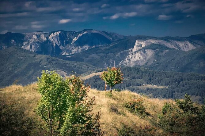 Transfer Bucharest -Brasov with Targoviste and Bran Castle visits - Price and logistics: is $190.81 good value for this route?