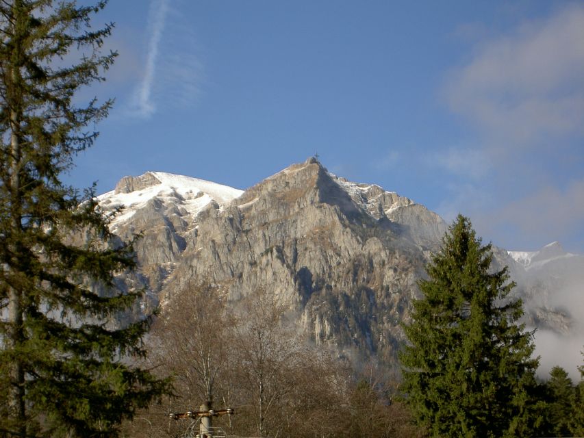 Transylvania: Cultural Full-Day Trip by Minivan - Sinaia and Peles Castle: royal elegance with sharp context