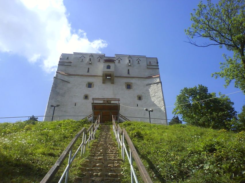 Transylvania: Cultural Full-Day Trip by Minivan - The Carpathian Mountains drive: why the ride is part of the experience