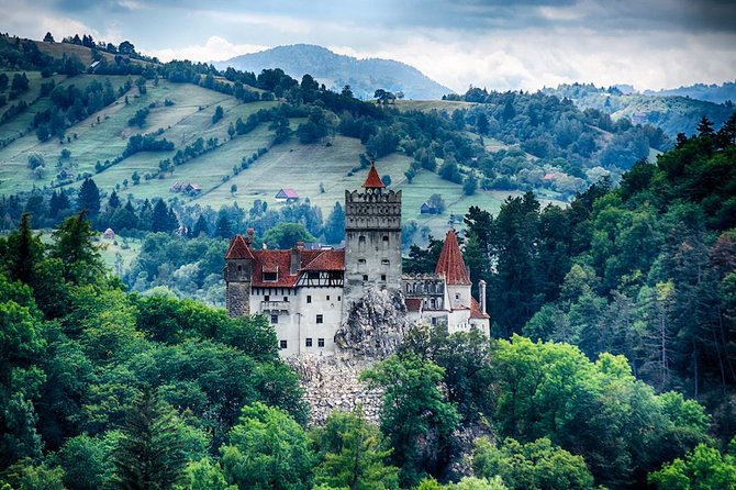 Transylvania Private Castle Day Trip from Bucharest - Peles Castle: Carol I’s palace and the timed-entry trap