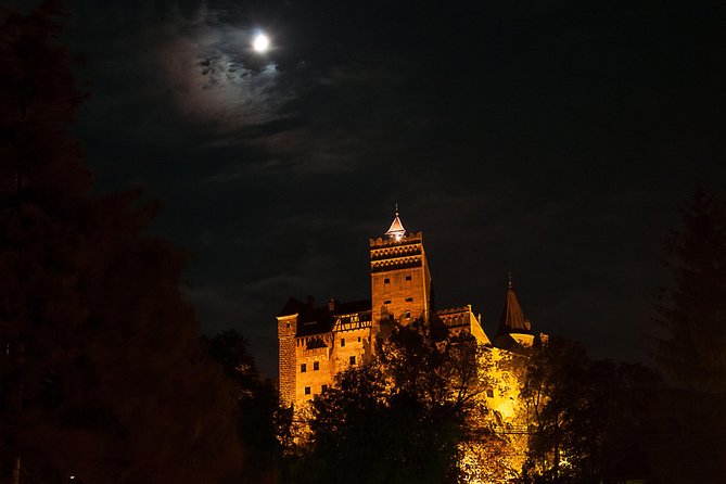 Transylvania with Dracula Castle, Bear Sanctuary and Brasov - Why This Transylvania Day Trip Works from Bucharest