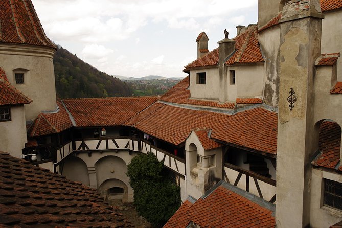 Transylvania with Dracula Castle, Bear Sanctuary and Brasov - Aventura Parc: Forest Fun (If Included on Your Date)
