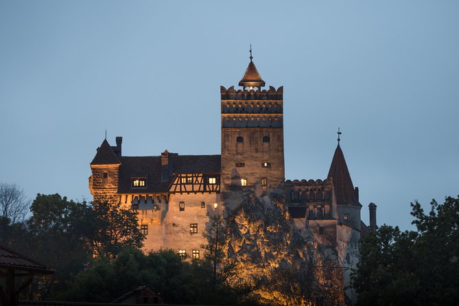 Transylvania with Dracula Castle, Bear Sanctuary and Brasov - Liberty Bear Sanctuary in Zărnești: Real Wildlife and a Teddy Bear Detour