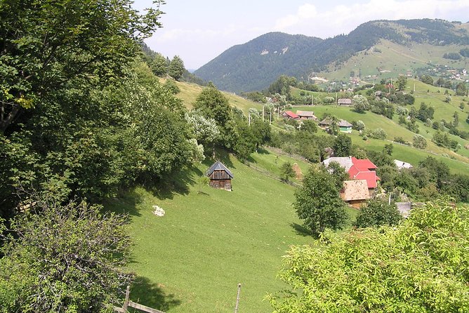 Village life in Transylvanian Carpathian mountains - 8 days - Key highlights I’d prioritize