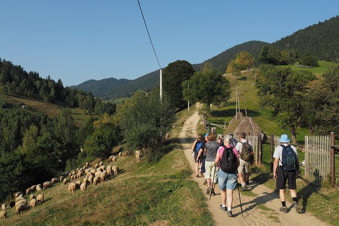 Village life in Transylvanian Carpathian mountains - 8 days - Day 3: Piatra Craiului National Park’s Zarnesti Gorges to Curmatura Hut (1470 m)