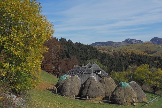 Village life in Transylvanian Carpathian mountains - 8 days - Day 4: Village-to-village hiking from the lower Piatra Craiului side toward Fundata