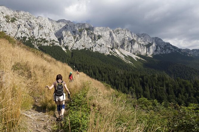 Village life in Transylvanian Carpathian mountains - 8 days - Starting in Bucharest, then landing in Brasov’s medieval orbit