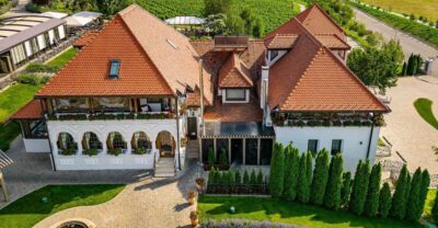 Winery touring & private wine tasting - one day private tour - Getting to the sub-Carpathian vineyards: the morning ride and first sips
